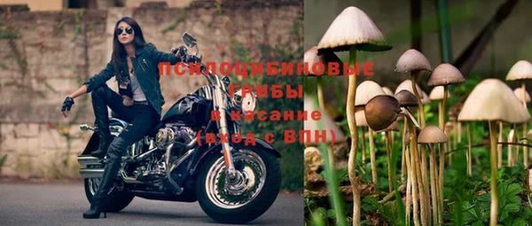 молекула духа Балахна