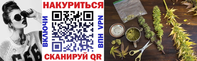 Бошки марихуана THC 21%  Новая Ладога 